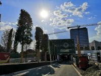Imagine atasata: Iulius Town - 2019.08.30 - 75.jpg